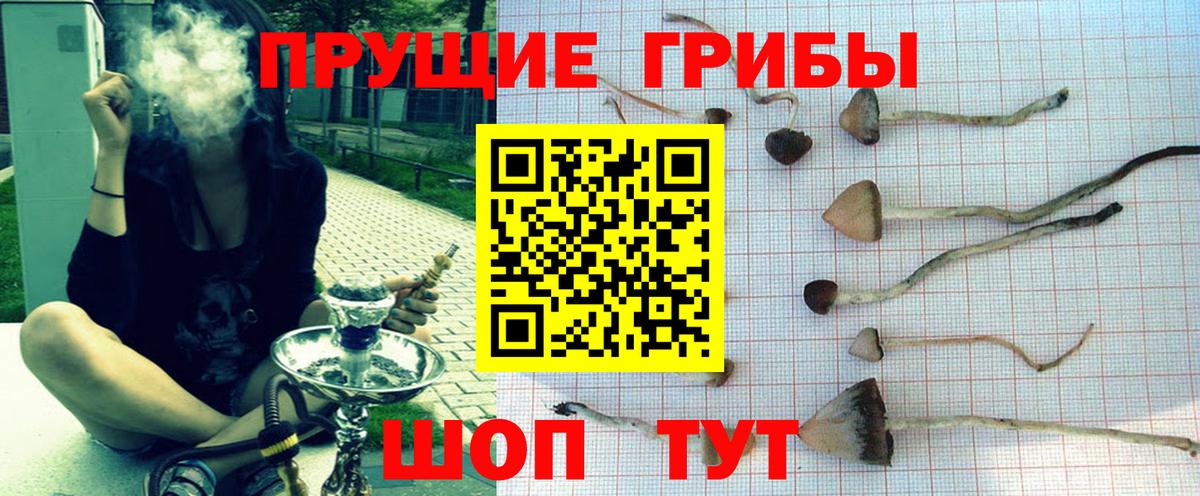 Кашира  Псилоцибиновые грибы Psilocybine cubensis  Галлюциногенные грибы мицелий  Вход с VPN 